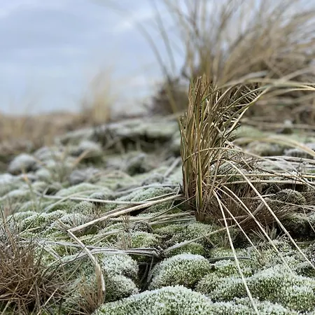 アパート Haus Sylter Welle 4-32